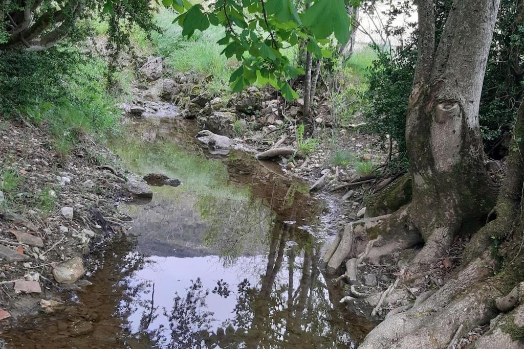 Studio Tout Confort Dans Maison De Caractere La Bastide  Kültér fotó